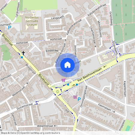 Hoogstraat 52, Parklaan-Hoogstraat, 4702ZV, Roosendaal