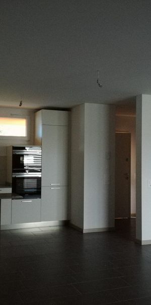 Via Luvée, 6855 Stabio - Photo 1