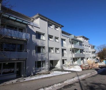 "Top Lage in Zürich Albisrieden" - Photo 1