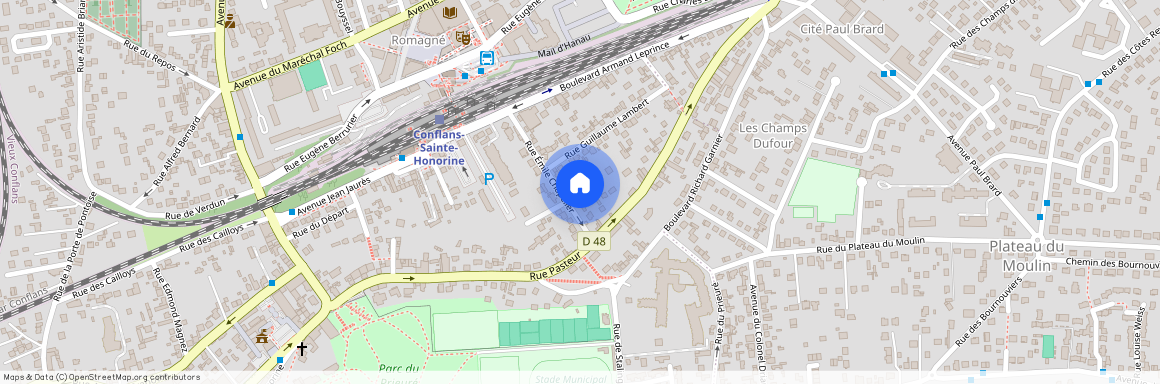 Conflans-Sainte-Honorine