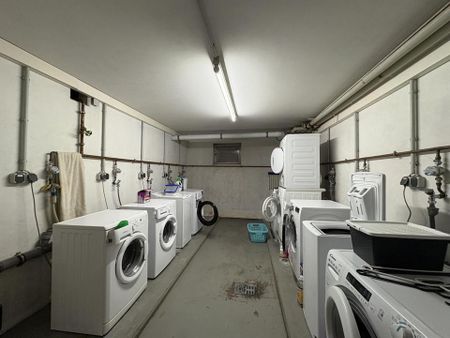 Großzügige Dreiraumwohnung in Zwickau - Photo 3