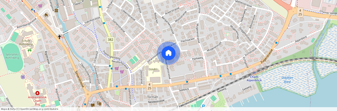 Scheuermattstrasse 10, 6330 Cham