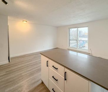 For Lease - 678 Queen Street Unit# Unit 11, Toronto, Ontario - Photo 3