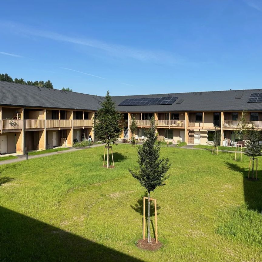 Mietkauf 2-Zimmer-Wohnung mit schöner überdachter Terrasse - Photo 1