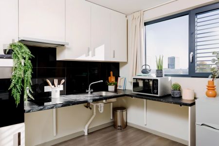 PARTLY ACCESSIBLE STUDIO - Photo 4