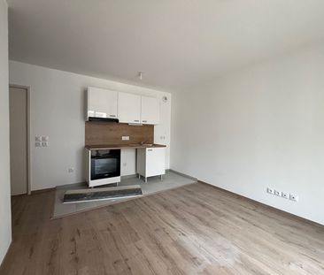 Appartement T1 Le Blanc-Mesnil à louer - Photo 2