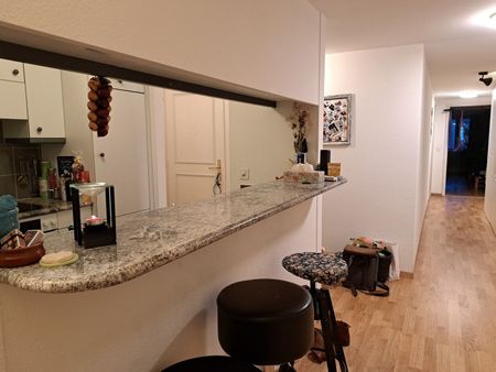 2-ROOM APARTMENT IN BERN - OLD CITY, FURNISHED, TEMPORARY - Foto 3