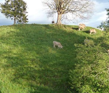 1 Zimmer, 22 m², 1. Stock - Photo 4