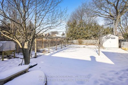 For Lease - 3 Christina Crescent Unit# - BASEMENT, Toronto, Ontario - Photo 5