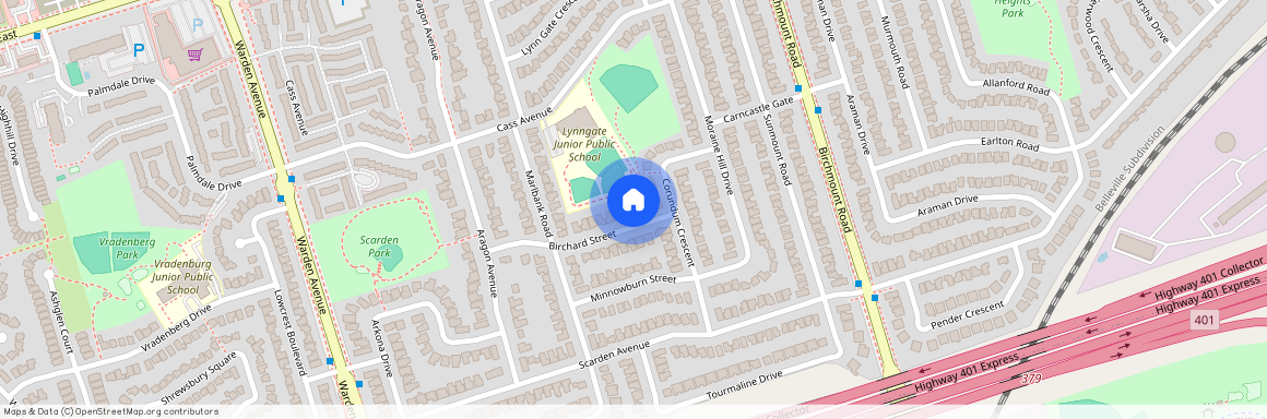 34 Birchard Street Unit# (Basement), Toronto