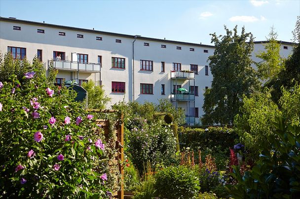 Schön hier! - Photo 1