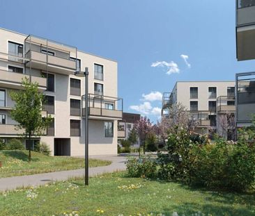 New construction in Wetzikon - Foto 6