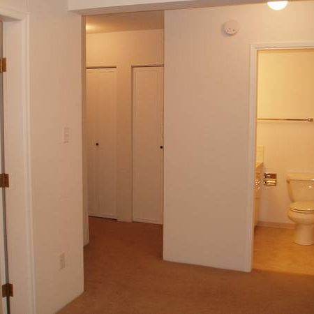 1 Bedroom & Den Suite (Apartment Complex) - Photo 4