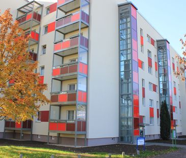 Freizeit am Kulkwitzer See genießen - Foto 3