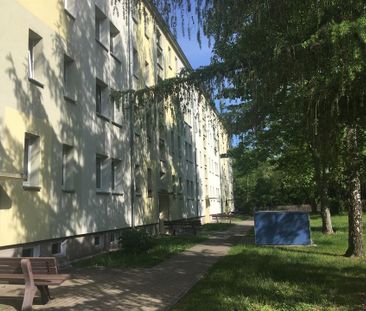 Neu Renoviert - Einzug ab 01.02.2026 möglich - Photo 1