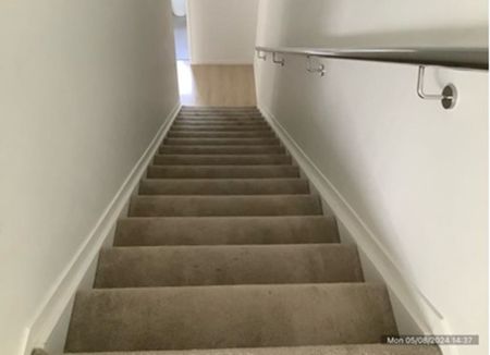 Beauty on Bellbird!! - Photo 5