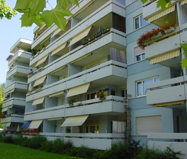 2.5 Zimmer, 45 m² - Foto 6