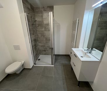 Appartement T2 Chevigny-Saint-Sauveur à louer - Photo 4