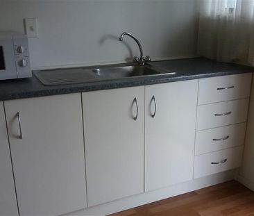 Easy Care and Convenient - Whakarewarewa - Photo 2