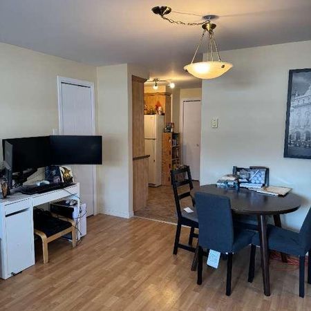 3-1/2 logement à louer à Joliette, quartier Bélair, demi sous-sol - Photo 4