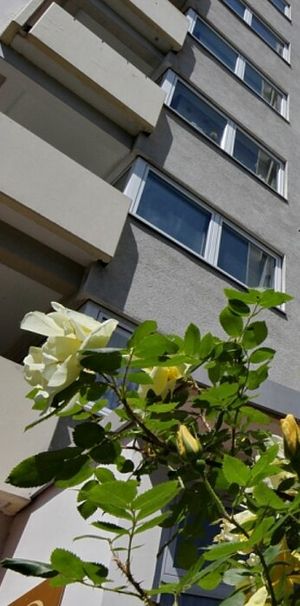 Seniorengerechtes Wohnen in Wolfsanger! 2 ZKB mit Balkon! - Foto 2