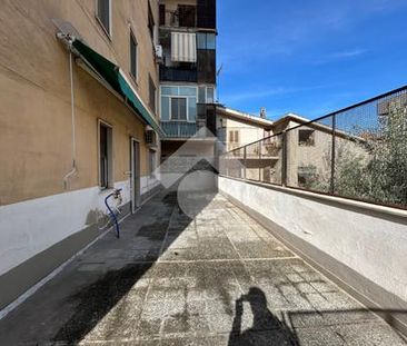Trilocale in affitto - Photo 2