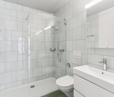 Moderne Wohnung an der Reuss - Foto 3