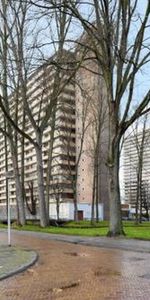 Hendrik Tollensstraat 2624 ZL Delft - Photo 3