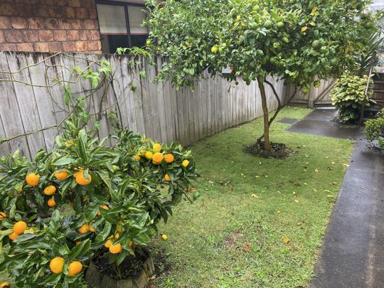 Great Location For This Family Home - Brookfield - Photo 1