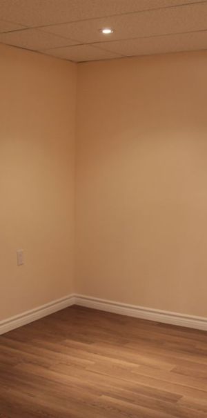 NEWLY constructed room for RENT! (Female Only) - Photo 1