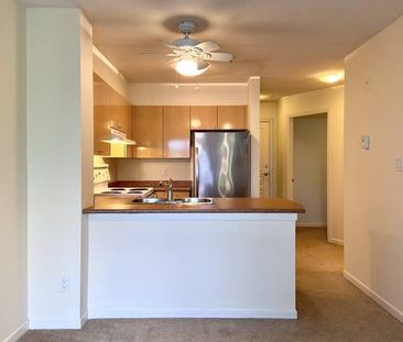 Unfurnished 1-Bedroom Condo in Cambie Village - Photo 4