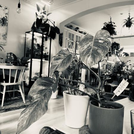 Benedenkamer met gedeelde keuken bzdkamet - Photo 3