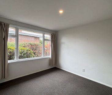 29 Roydvale Avenue - Photo 4