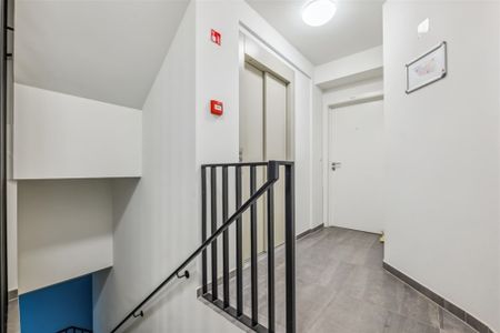 NIEUWBOUW APPARTEMENT MET 1 SLK EN TERRAS IN HARTJE SINT-TRUIDEN - Foto 4