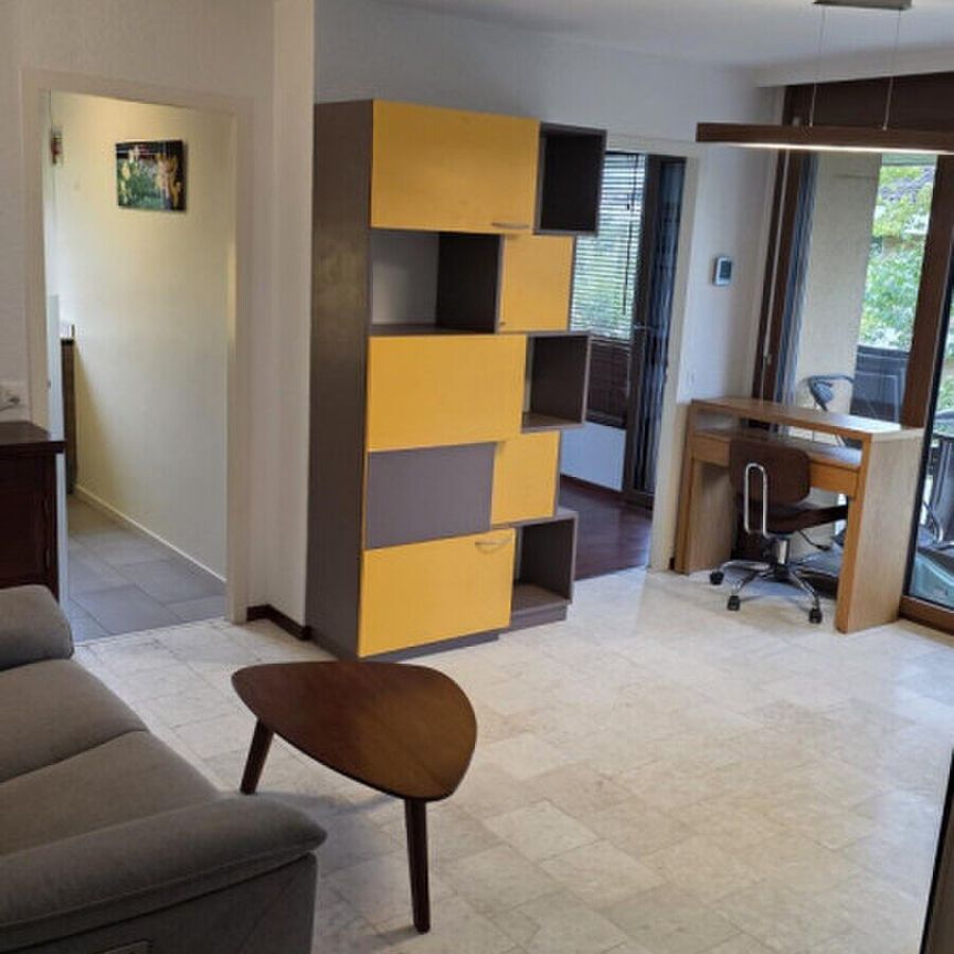 Magnificent furnished 2 room apartment with terrace of 57m2 two minutes from the lake/St-Sulpice VD - Photo 1