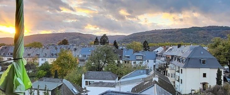 Trier-Süd: Geräumige 2ZKB Dachgeschosswohnung mit 38 m² Wohnfläche - Photo 1