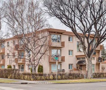 Bachelor Unit Brand New Renovation in Crescent Heights | 1303 1 ST ... - Photo 1
