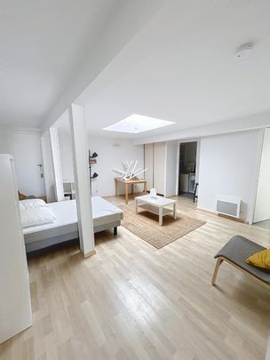Location Appartement 1 pièce Meublé 33m² AGEN 47000 - Photo 1