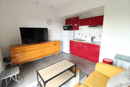 Location Appartement 2 pièces Meublé 36m² THOUARE SUR LOIRE 44470 - Photo 2