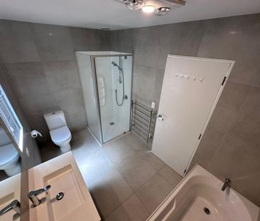 Just In time for Christmas - Photo 6