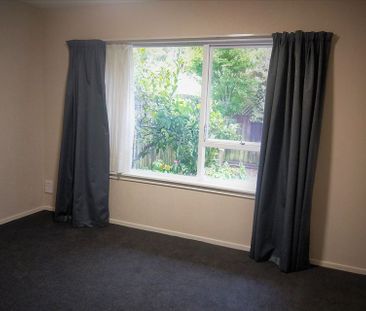 Warm,modern,quality,private,quiet,perfect location - Photo 6