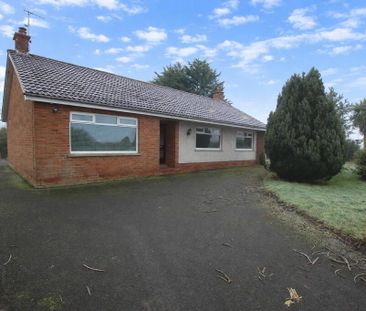 5a Derryola Island Lane, Aghalee, Craigavon, BT67 0DN - Photo 6