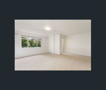 LIGHT FILLED, STUDIO APARTMENT - Photo 4