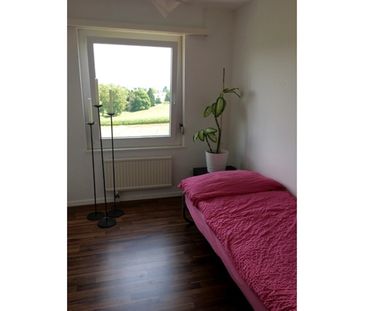 3½ Zimmer-Wohnung in Dübendorf (ZH), möbliert - Photo 1