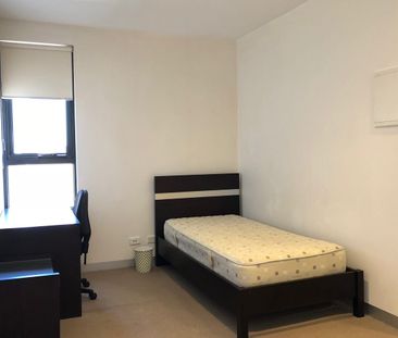 Spaicious 2 bedrooms in Seasons - Photo 3