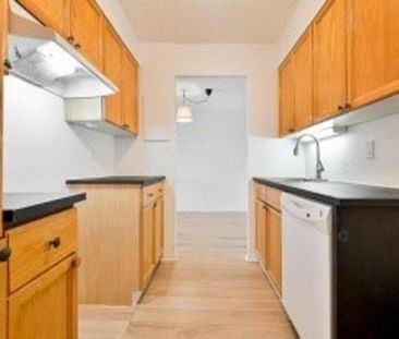 LIBRE MAINTENANT!!! 579-880-8879 Superbe condo rénové à l'été 2025,... - Photo 3