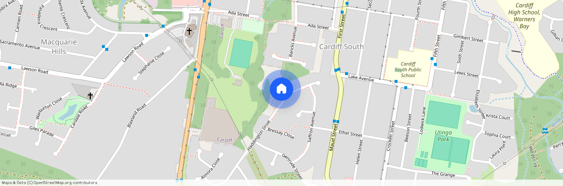 49 Haddington Drive, NSW 2285, Cardiff South
