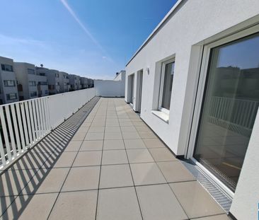 Wunderschöne Dachgeschoßwohnung mit Terrasse in Stammersdorfer Ruhe... - Foto 1