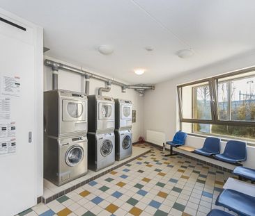 Carolina MacGillavrylaan 450 - Photo 1