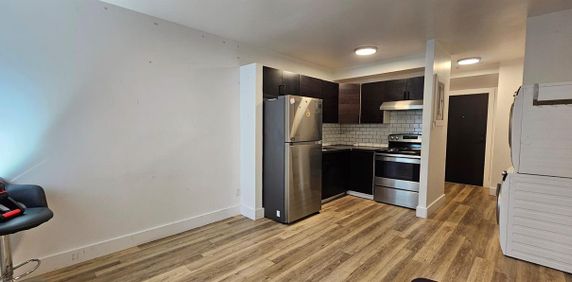 1 CH - 1 SDB - Montréal - $1,275 /mo - Photo 2